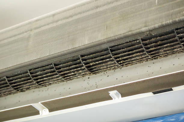Best Affordable HVAC Duct Cleaning  in Country Lake Estates, NJ